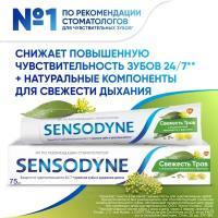 Зубная паста Sensodyne Свежесть Трав для чувствительных зубов с экстрактом трав, 75 мл