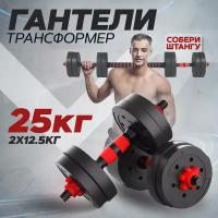 Гантели разборные Ахиллес для фитнеса + штанга спортивная 2 шт. по 12 кг