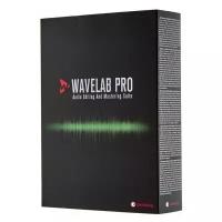 Пакет программ Steinberg WaveLab Pro