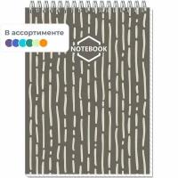 Блокнот А5,60л, клетка, метал. гребень, цв. обложка Стильный Офис 2741 в ассорт