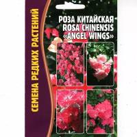 Роза Китайская Rosa Chinensis, эффектный многолетник ( 1 уп: 10 семян )