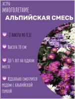 Астра многолетняя Альпийская смесь (0,1 г), 2 пакета