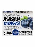 Резинка жевательная "Живица таежная" с Черникой, 5 штук по 0,8 гр., Зеленый доктор