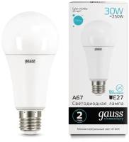 Лампа Gauss Elementary A67 30W 2360lm 4100K E27 LED