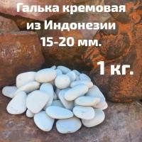 Галька кремовая из Индонезии фракция 15-20 мм 1 кг. Декоративные камни. Камни для аквариума и террариума