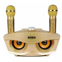 Портативная колонка караоке SDRD SD-306 GOLD