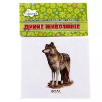 Дидактические карточки Улыбка Учебные карточки. Дикие животные России, 12 шт., 11х10 см