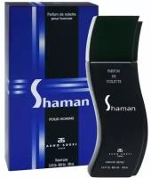 Туалетная вода Parfums Corania Туалетная вода мужская Shaman (Объем 100 мл)