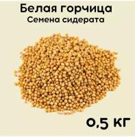 Горчица семена сидерат 0.5 кг