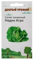 Семена Салат кочанный Надин Агро 0,2 гр в комлпекте 1, упаковок(-ка/ки)