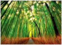 Япония. Бамбуковый лес Сагано - Виниловые фотообои, (370х265 см)