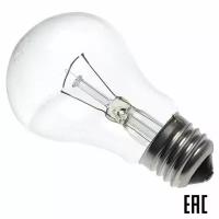 Лампа накаливания местного освещения 60Вт МО 36-60 М50 36В Е27 кэлзз (17 шт. в комплекте)