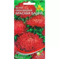 "Астра пионовидная Красная башня, 85 семян"