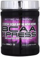 Scitec Nutrition BCAA Xpress (280 гр) (дыня)