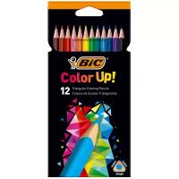 Карандаши цветные 12 цветов BIC "Color UP", пластиковые, трехгранные, 9505271