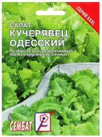 Семена ХХХL Салат "Кучерявец одесский", 10 г