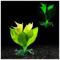 Растение искусственное аквариумное, светящееся, 10 см, зелёное 7514222