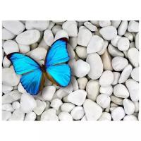 Набор алмазной мозаики "Бабочка на камнях", размер 50х37 см, 40 цветов