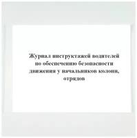 Журнал инструктажей водителей по обеспечению безопасности движения (у начальников колонн, отрядов)