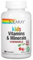 Solaray, Витамины и минералы для детей, Kids Vitamins and Minerals, с натуральным вкусом ягод черемухи, 120 жевательных таблеток