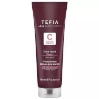 Tefia Color Creats Оттеночная маска для волос Жемчужная