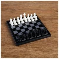 Шахматы магнитные, 13 х 13 см, чёрно-белые 2590525