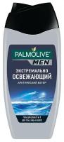 Мужской гель для душа Palmolive MEN ACTIVE 3в1 Арктический ветер 250 мл. х 2 шт