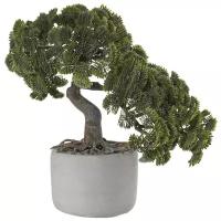 ASA Selection Bonsai Кипарис в керамическом горшке, 24 см зелeный