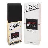 Туалетная вода мужская Chale Sport Homme, 100 мл 10121834