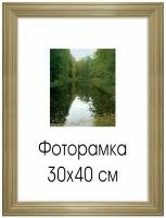 Рамка премиум 30х40 см, дерево, багет 26 мм, "Linda", светло-коричневая, 0065-15-0000