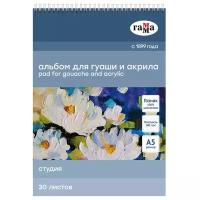 Альбом для гуаши и акрила ГАММА Студия 14.8 х 21 см (A5), 180 г/м², 30 л. белый A5 14.8 см 21 см 180 г/м²