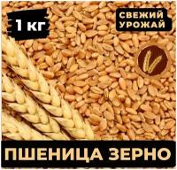 Пшеница, зерно, 1 кг