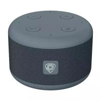 Умная колонка Prestigio Smartvoice PSS105M_DG (dark grey)