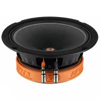 DL Audio RAVEN 165