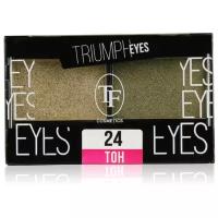 TF Cosmetics Тени для век Eyes 24 золотая маслина и зеленый тростник