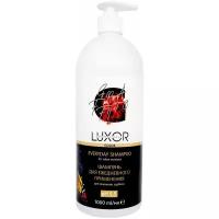 Шампунь для ежедневного применения Luxor Professional Color Save Care Salon Services Everyday Shampoo 1000 мл