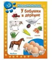 У бабушки в деревне. Развиваем малыша (2-3 года) Махаон Россия