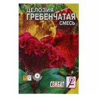 Семена цветов Целозия Гребенчатая смесь 0,1 г