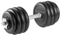 Гантель разборная 20 кг TITAN Barbell - d26, Комплектация №2 с железной ручкой