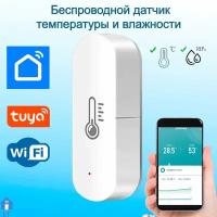 Датчик температуры и влажности WIFI / Умный дом