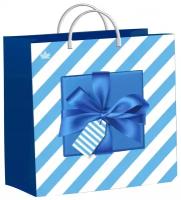 Пакет подарочный пластиковый Синяя коробочка 30х30 н00195449