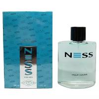 Parfums Evaflor Мужской Ness For Men Туалетная вода (edt) 100мл