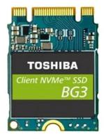 Toshiba 256 GB KBG30ZMS256G