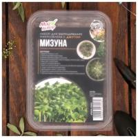 Набор для выращивания микрозелени "Мизуна" с джутом