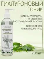 Transdermal Professional Cosmetics Гиалуроновый тоник, 250мл