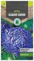 Семена Тимирязевский питомник цветы астра Башня синяя (пионовидная) 0,4 г Двойная фас