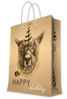 Пакет подарочный Magic Pack Happy Birthday с ламинацией, 17,8x22,9x9,8 см