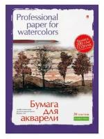 Папка для рисования акварелью А3, 20л, блок гознак 200гр 4-020 дизайн в ассор