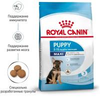 ROYAL CANIN MAXI PUPPY для щенков крупных пород (3 + 3 кг)