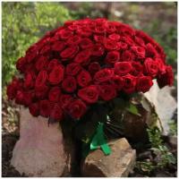 Букет цветов живые 101 красная роза Ред Наоми 40 см